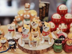 -豆柴町-柴犬主题狗咖(红鼎国际C座店)