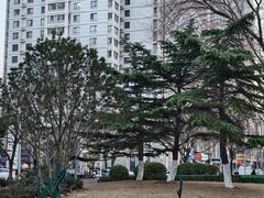 -和平区健康主题公园