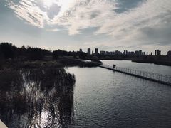 -哈尔滨大剧院