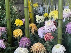 -杭州植物园