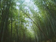 -穹窿山景区