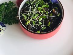 -南太湖山庄·四季轩&国风堂中餐厅