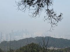 -大金鹰园
