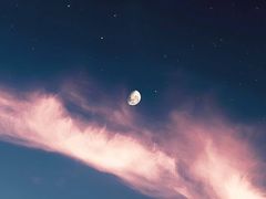 -东方体育中心(地铁站)