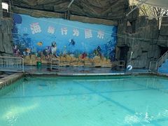 -合肥野生动物园
