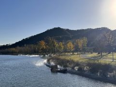 -千年银杏谷文化旅游区