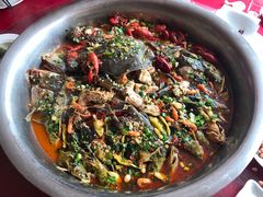 -溱湖国家湿地公园