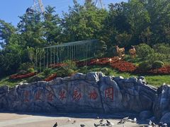 -大连森林动物园