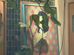 -BOCATA 西班牙餐厅(三里屯店)