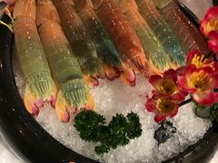 -鲜入围煮花胶鸡海鲜火锅