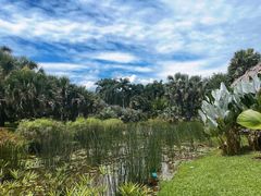 -中国科学院西双版纳热带植物园