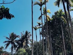 -三亚海棠湾万丽度假酒店