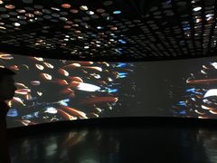 -同济大学四平路校区深海探索馆