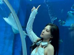 -哈尔滨波塞冬海底世界