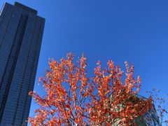 -天津意大利风情旅游区