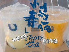 -春丽小马(济南恒隆广场店)