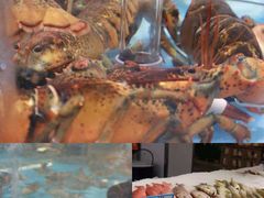 -麦德龙(浦东店)