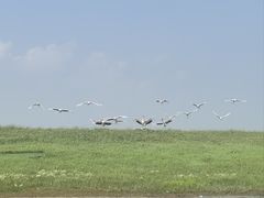 -黑龙江扎龙生态旅游区