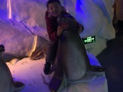 -芜湖新华联大白鲸海洋公园