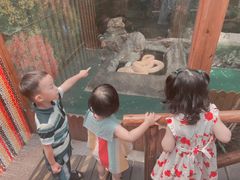 -上海大自然野生昆虫馆(东方明珠·爬宠昆虫探索中心)