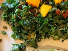 -Wagas沃歌斯(汇智店)