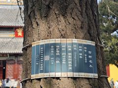 -西园戒幢律寺