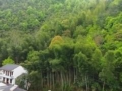 -新安江山水画廊风景区