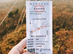-紫金山索道-售票处