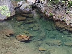 -石台牯牛降景区