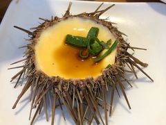 海胆蒸蛋-海胆小馆(东北水饺·春柳店)