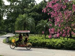 -南沙天后宫景区