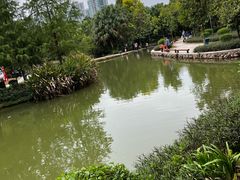 -中山市树木园