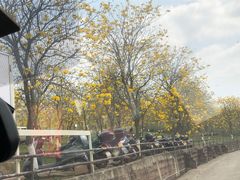 -田园寨农园观光园