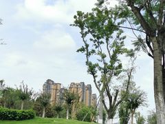 -府河摄影公园