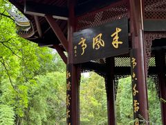 -峨眉山报国寺