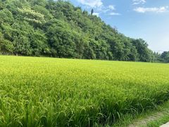 -贵阳市花溪国家城市湿地公园
