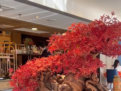 -顺峰(农展馆店)