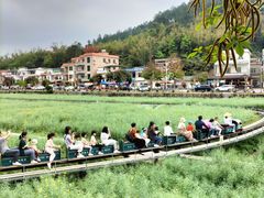 -红山村