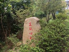 -梧桐山风景名胜区