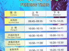 -上海海洋水族馆