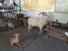 -河北村民俗体验园