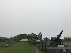 -吴淞炮台湾湿地森林公园烧烤区