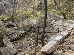 -大岭沟猕猴桃谷风景区
