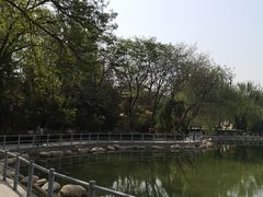 -莲湖公园