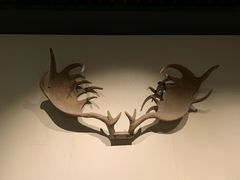 -大庆市博物馆