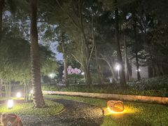 -深圳龙潭公园
