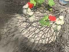 -红厨巷·淮扬菜(熙南里店)