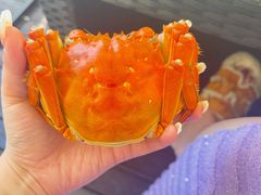 -火福·天湖阁大闸蟹博物馆主题餐厅(浅水湾店)