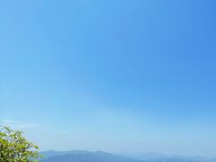 -午潮山国家森林公园