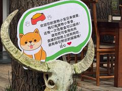 -小小饭店·休闲农庄·安吉松树林里的农家菜